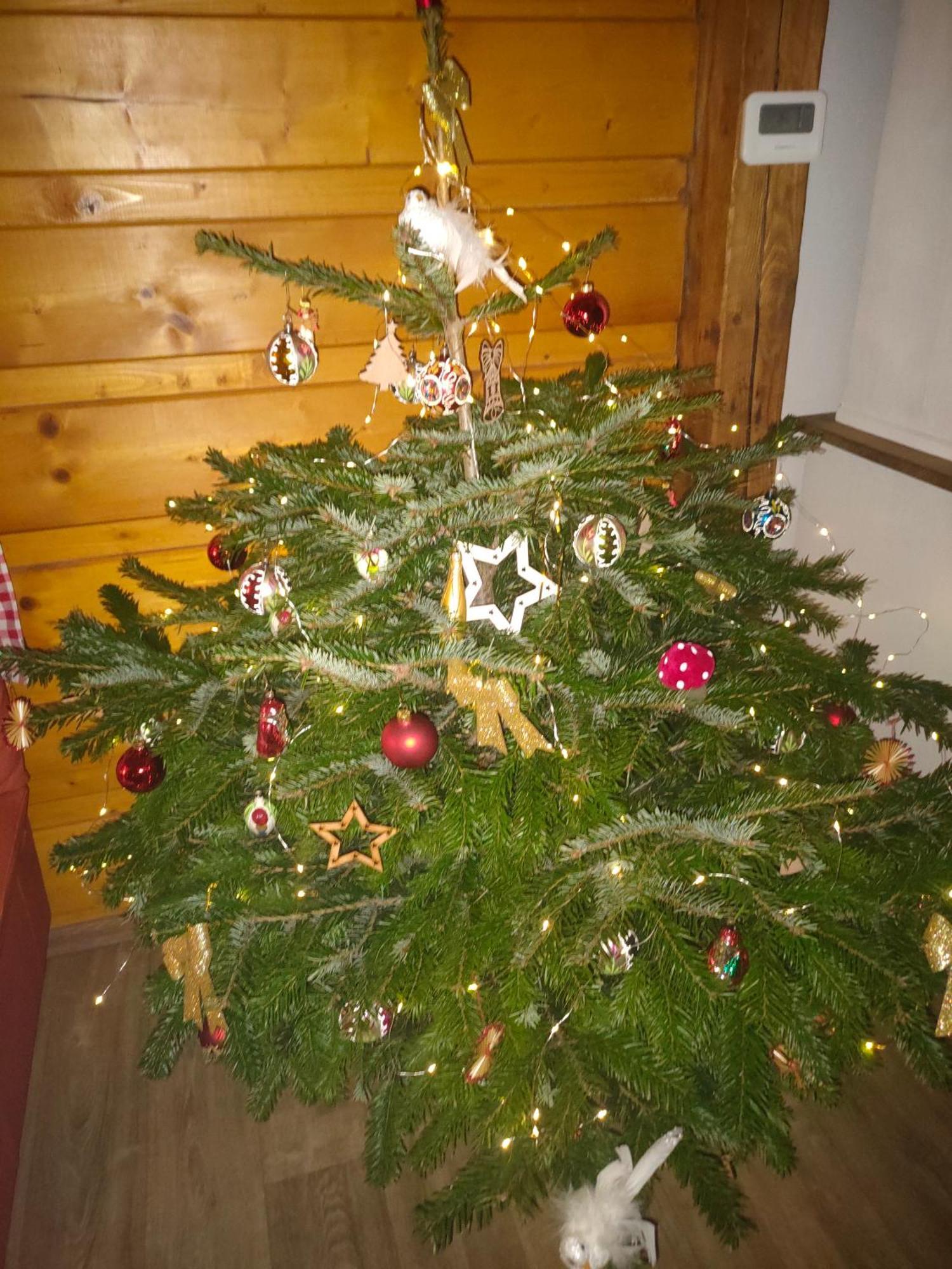 Chalupa Anezka Králíky Eksteriør bilde